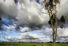 imtoken钱包有什么缺点